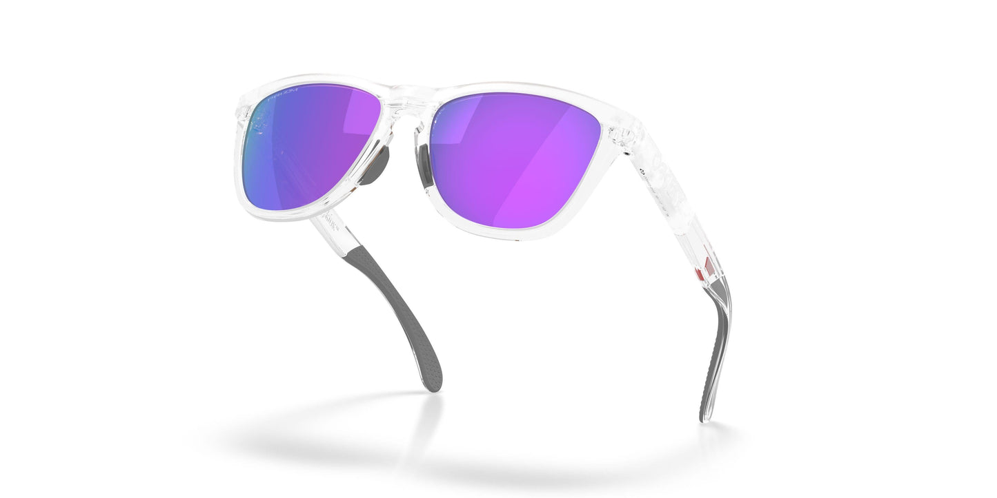 Oaakley Frogskins Range Xl 9503 Sunglasses