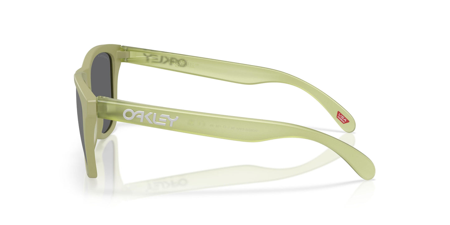Oaakley Frogskins 9245 Sunglasses