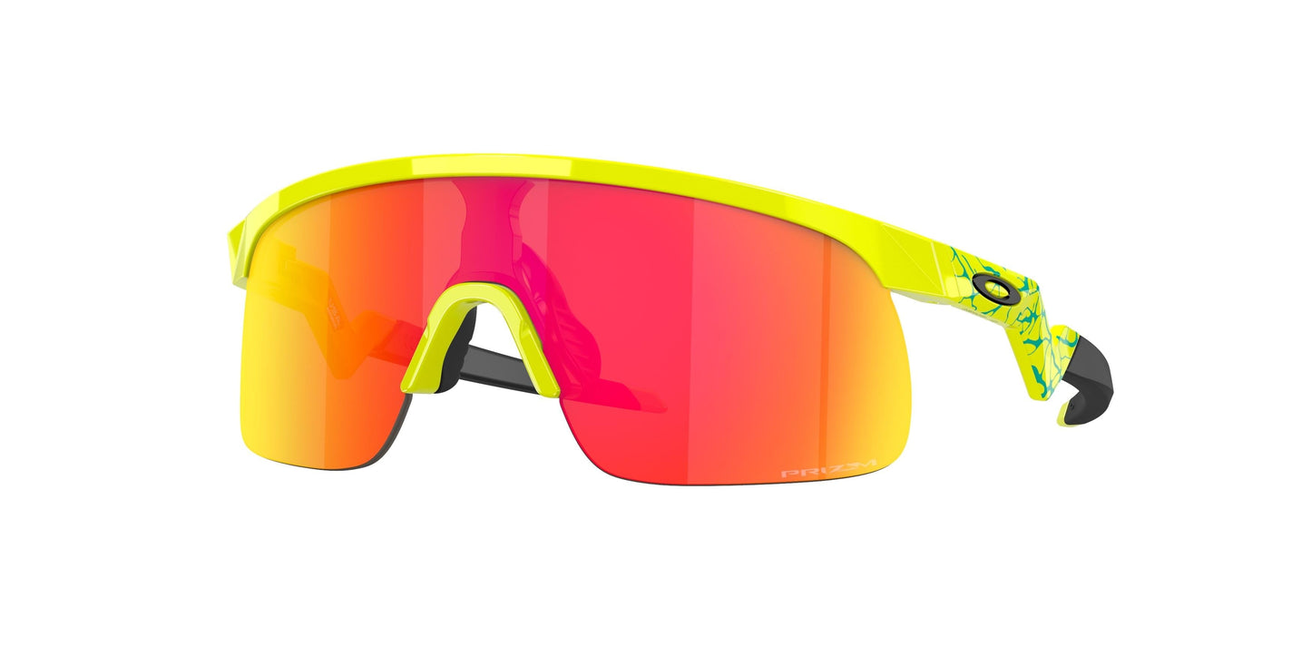 Oaakley Resistor 9010 Sunglasses