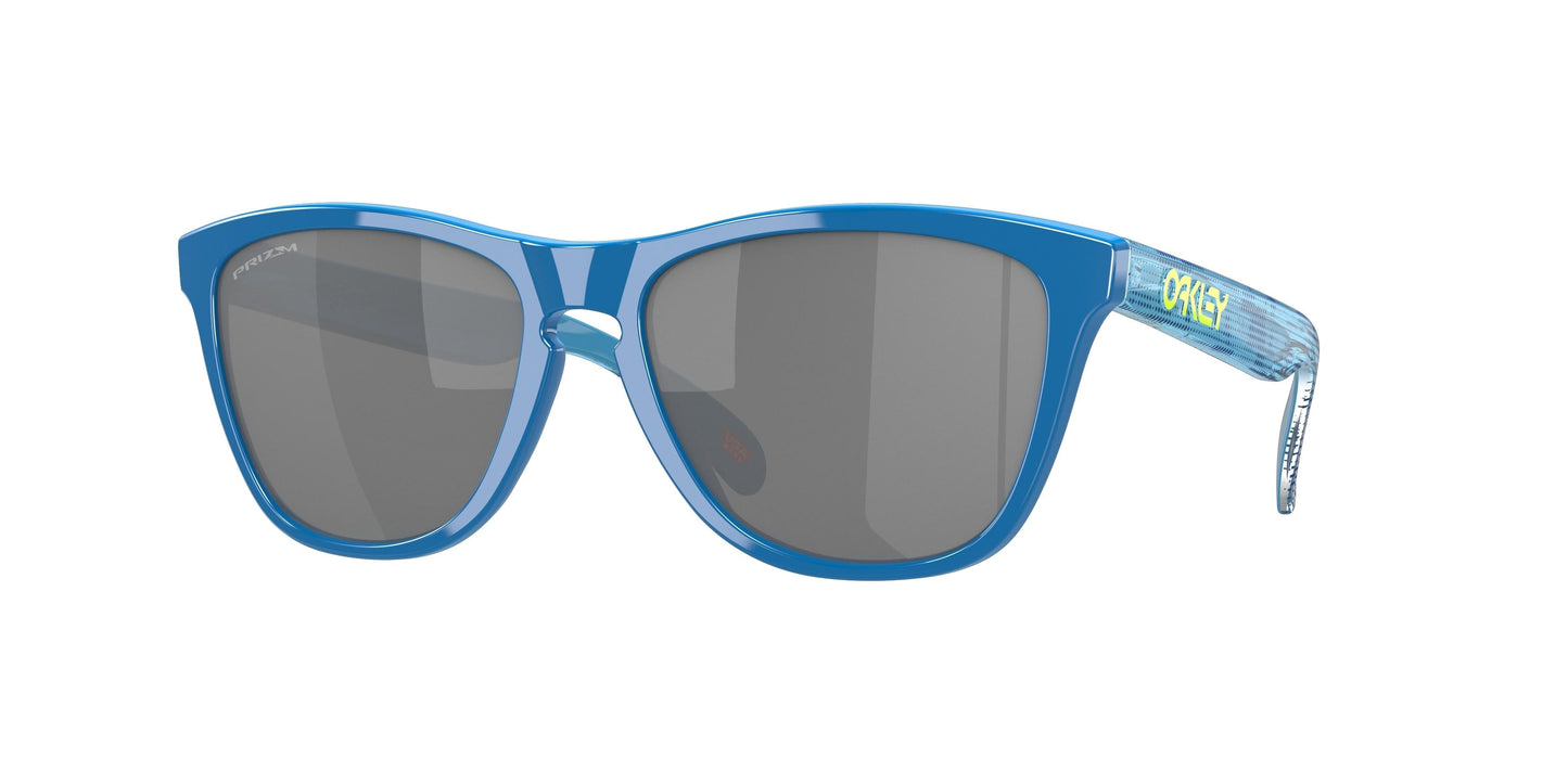 Oaakley Frogskins 9013 Sunglasses