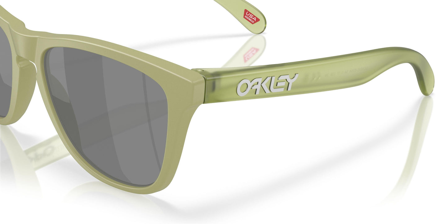 Oaakley Frogskins 9245 Sunglasses