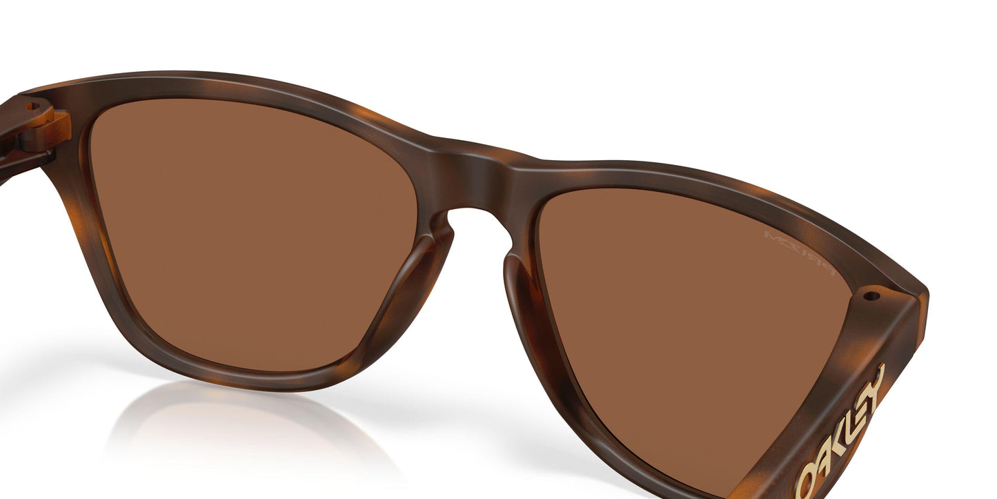 Oaakley Frogskins S 9508 Sunglasses