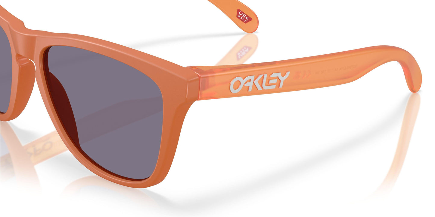 Oaakley Frogskins 9245 Sunglasses