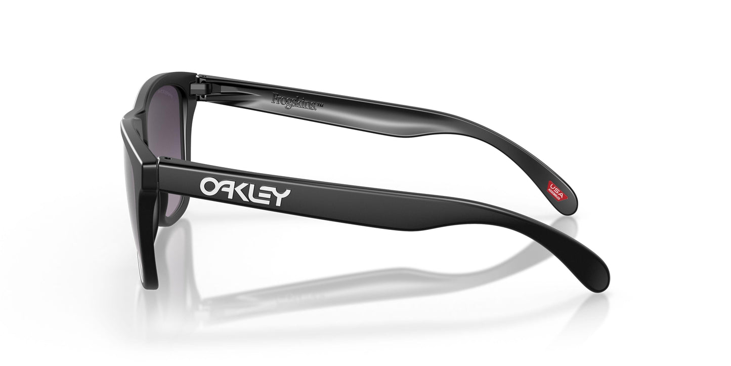 Oaakley Frogskins 9245 Sunglasses