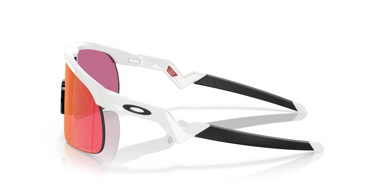 Oaakley Resistor 9010 Sunglasses