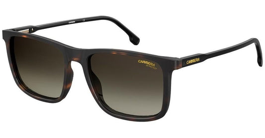 Carreera 231 Sunglasses