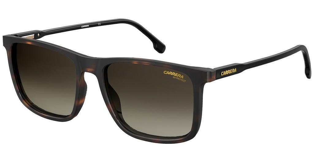 Carreera 231 Sunglasses