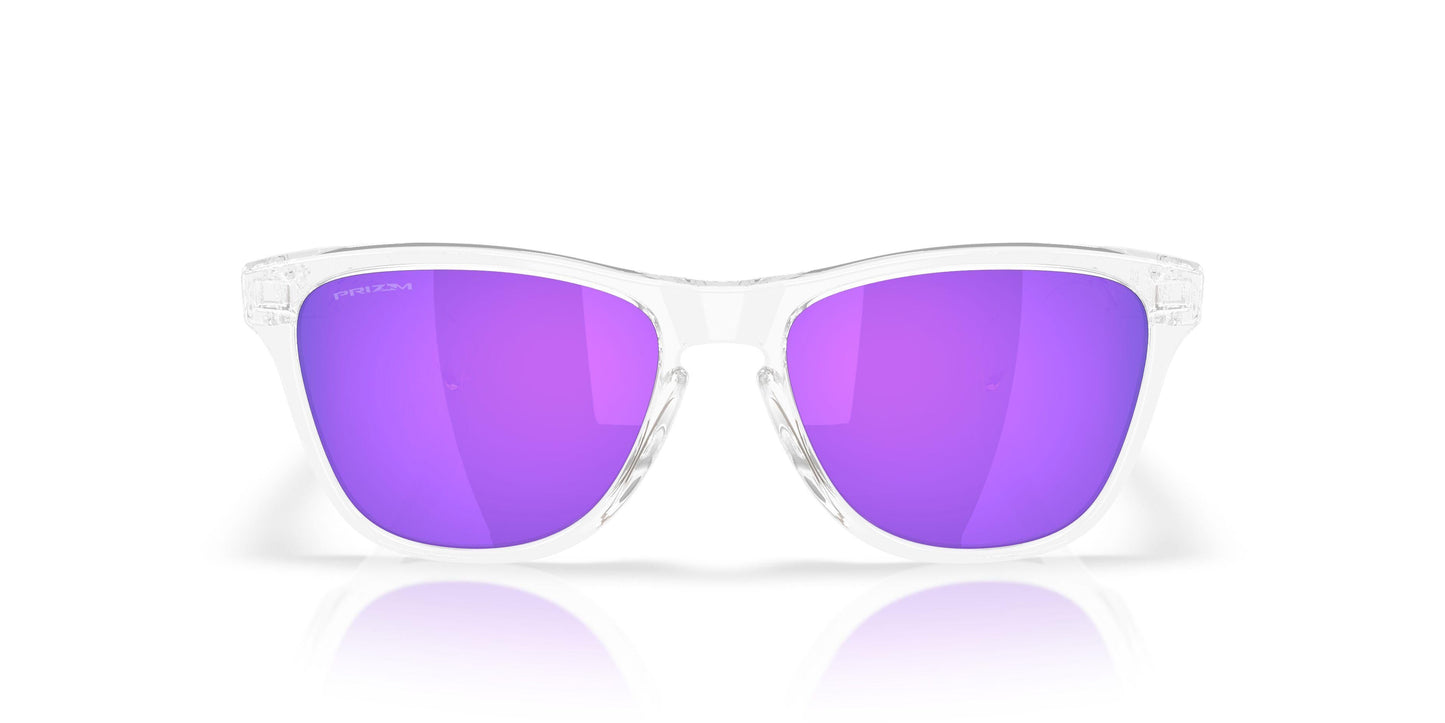 Oaakley Frogskins S 9508 Sunglasses