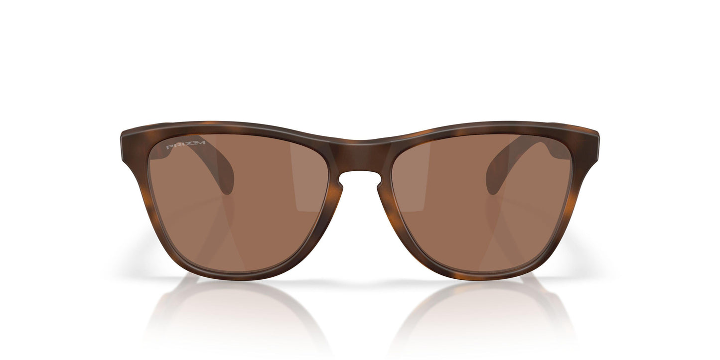 Oaakley Frogskins S 9508 Sunglasses