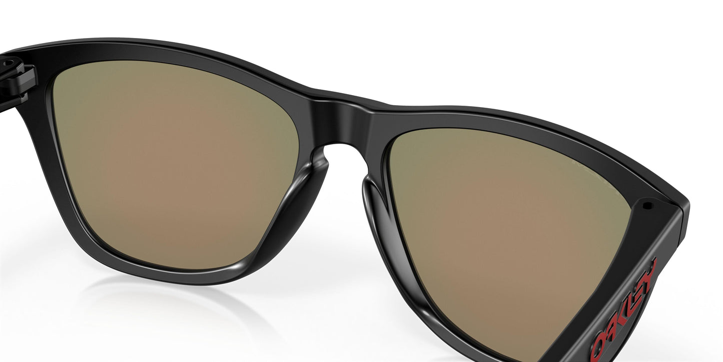 Oaakley Frogskins 9245 Sunglasses