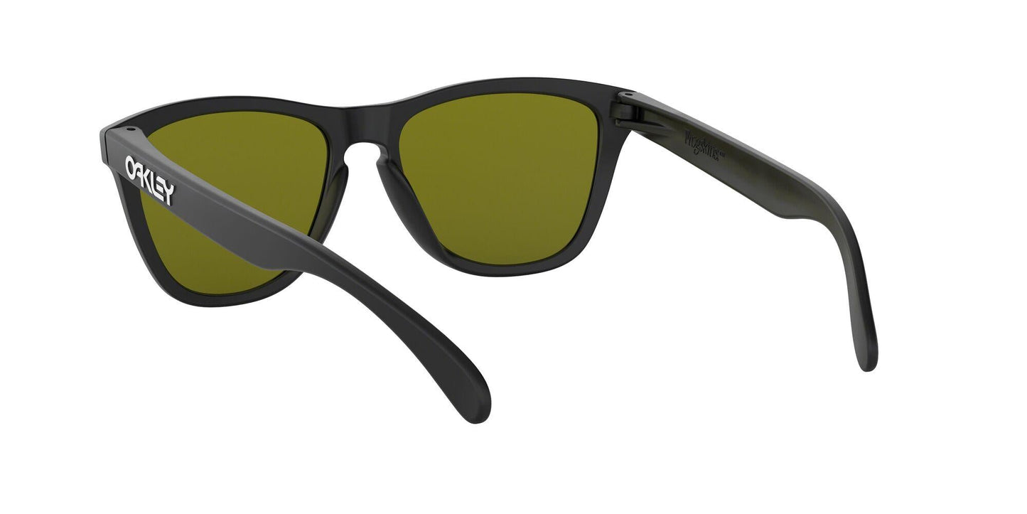 Oaakley Frogskins 9013 Sunglasses