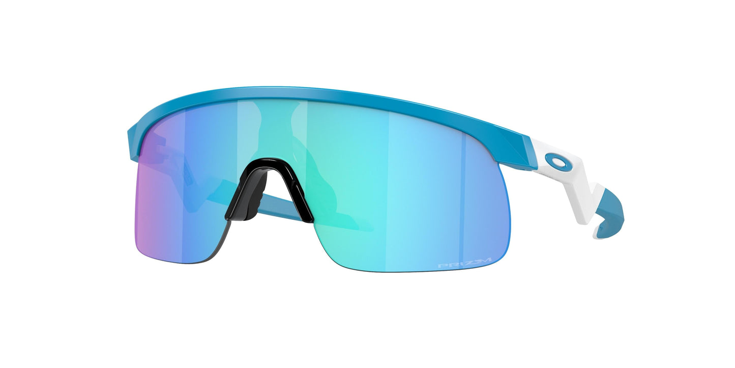Oaakley Resistor 9010 Sunglasses