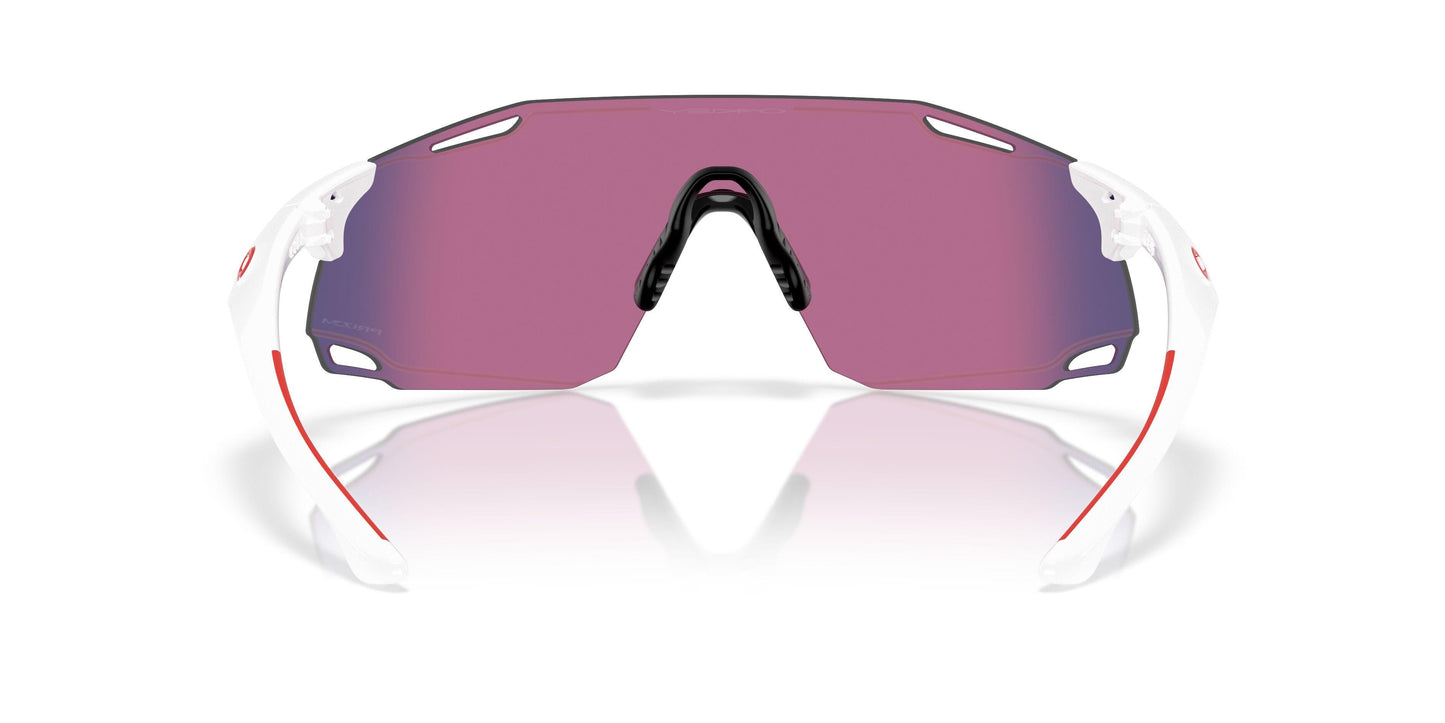 Oaakley Cybr Dyno 9513D Sunglasses