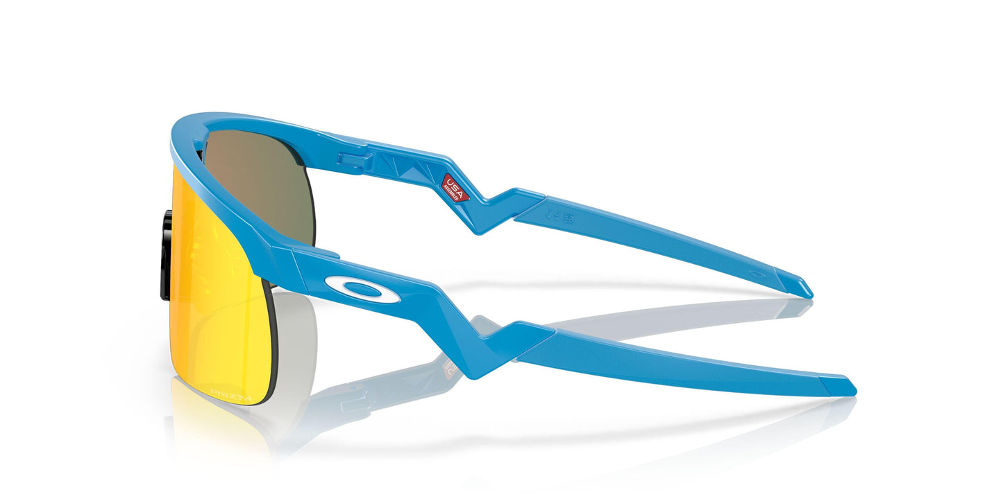 Oaakley Resistor 9010 Sunglasses