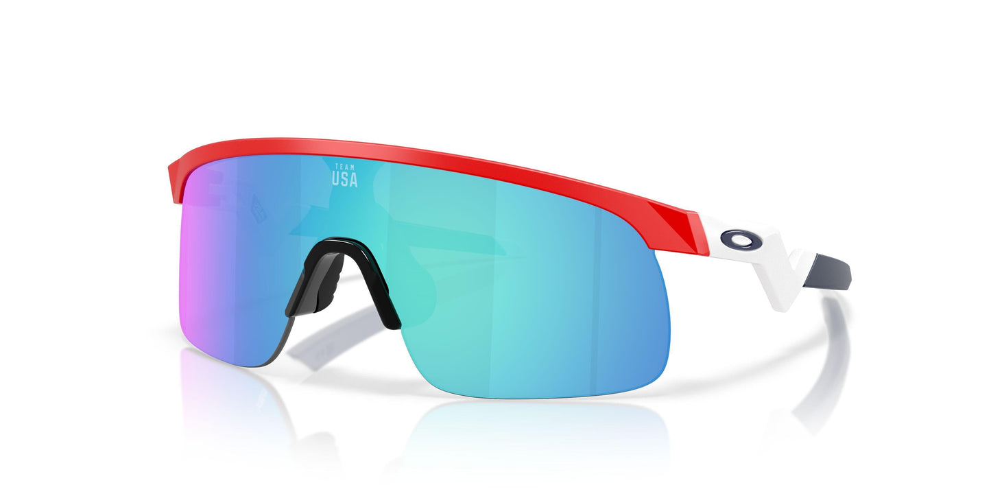 Oaakley Resistor 9010 Sunglasses
