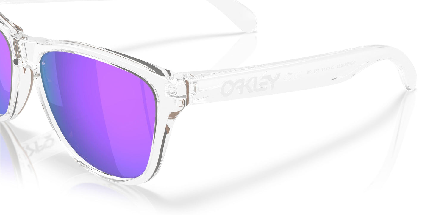 Oaakley Frogskins S 9508 Sunglasses