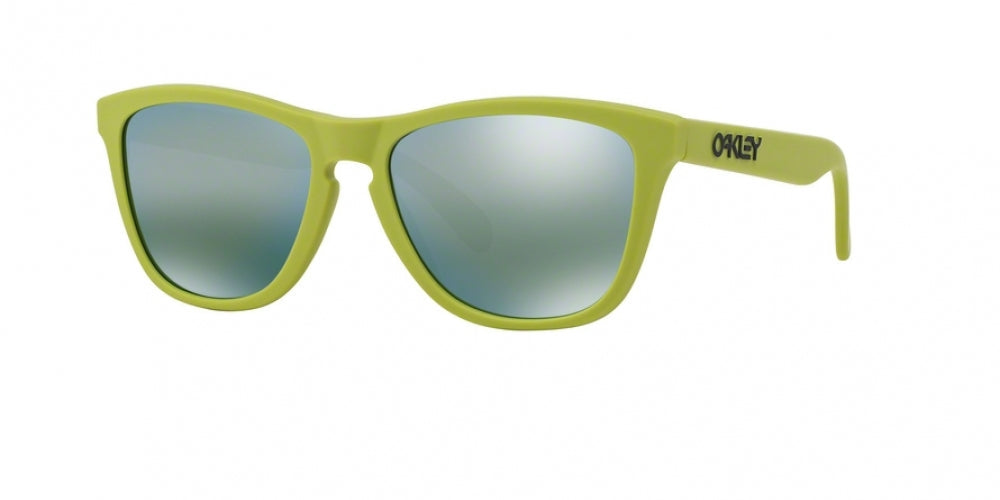 Oaakley Frogskins 9013 Sunglasses