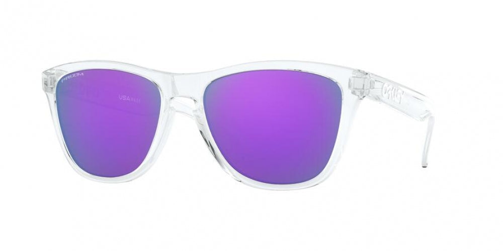 Oaakley Frogskins 9013 Sunglasses