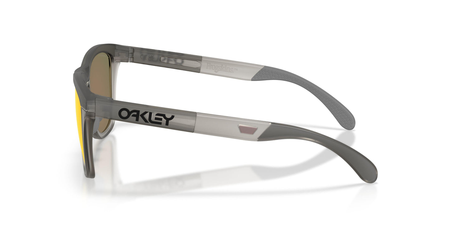 Oaakley Frogskins Range Xl 9503 Sunglasses