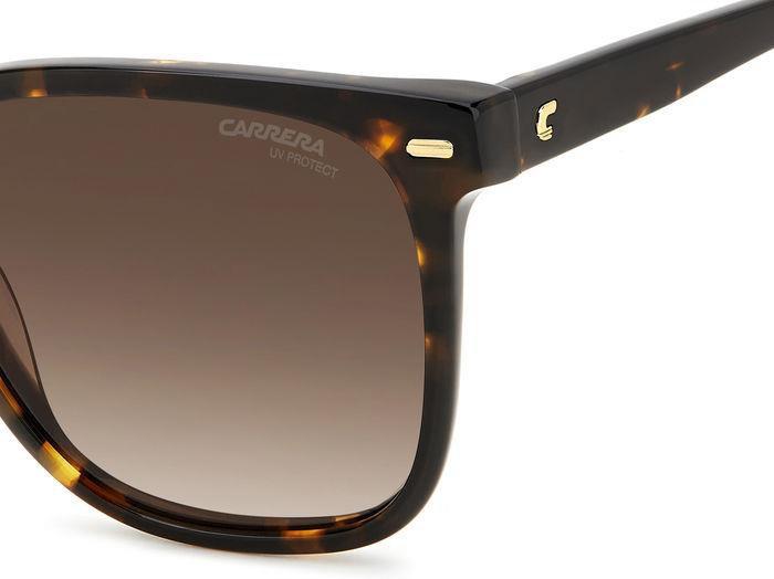 Carreera 3002 Sunglasses