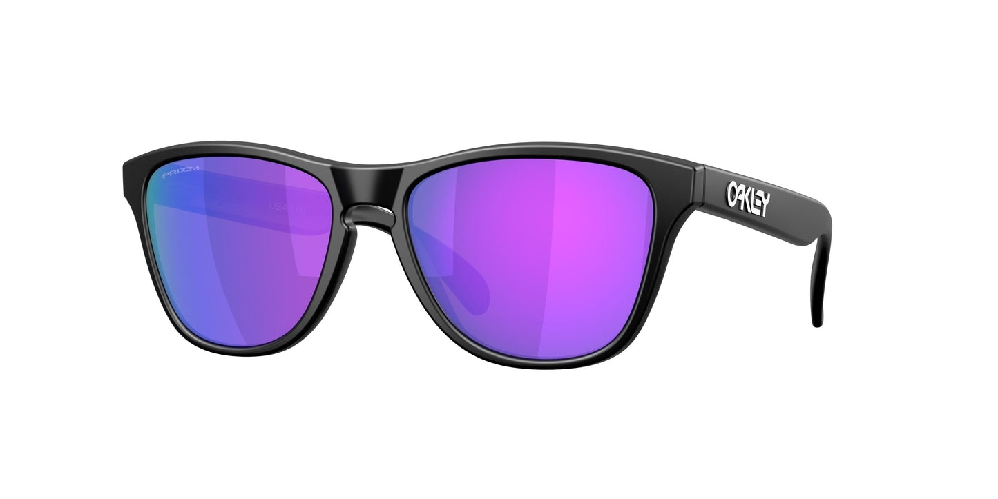 Oaakley Frogskins S 9508 Sunglasses