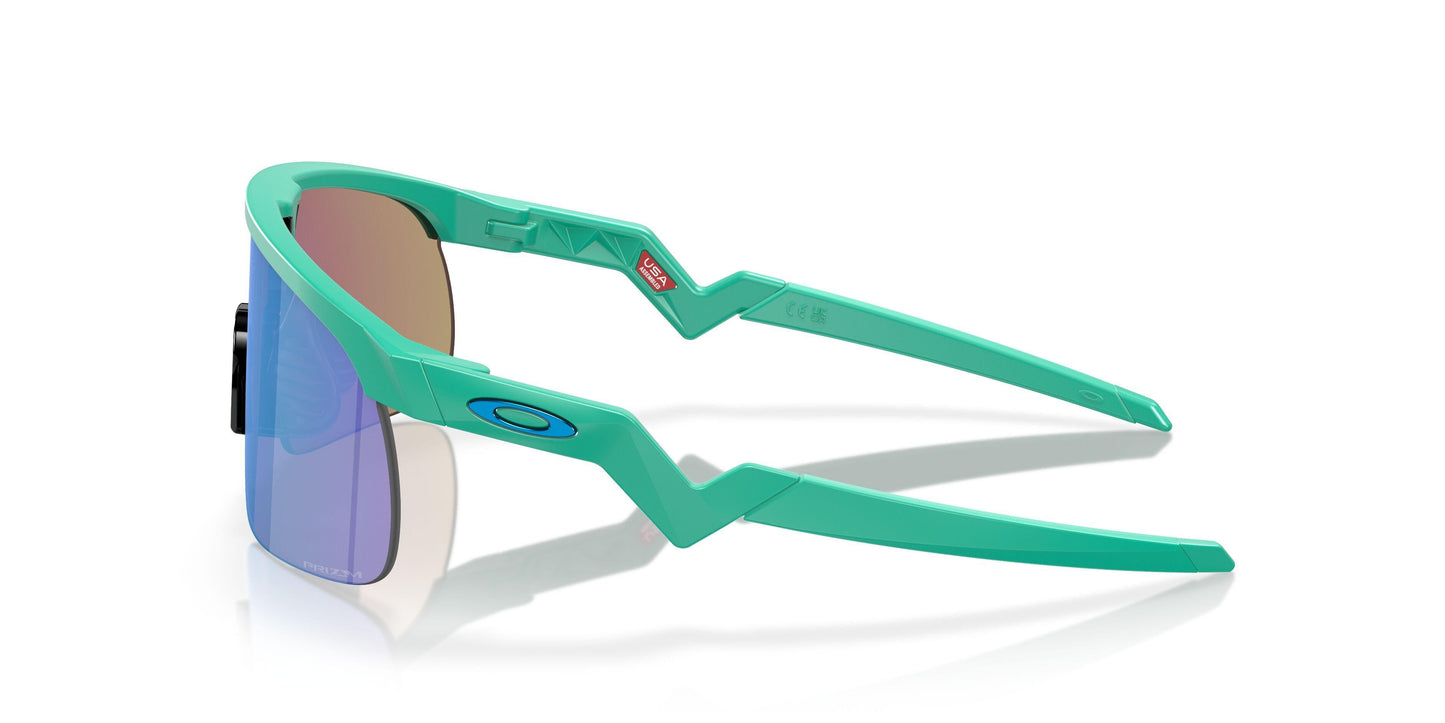 Oaakley Resistor 9010 Sunglasses