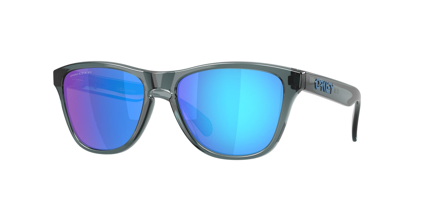 Oaakley Frogskins S 9508 Sunglasses