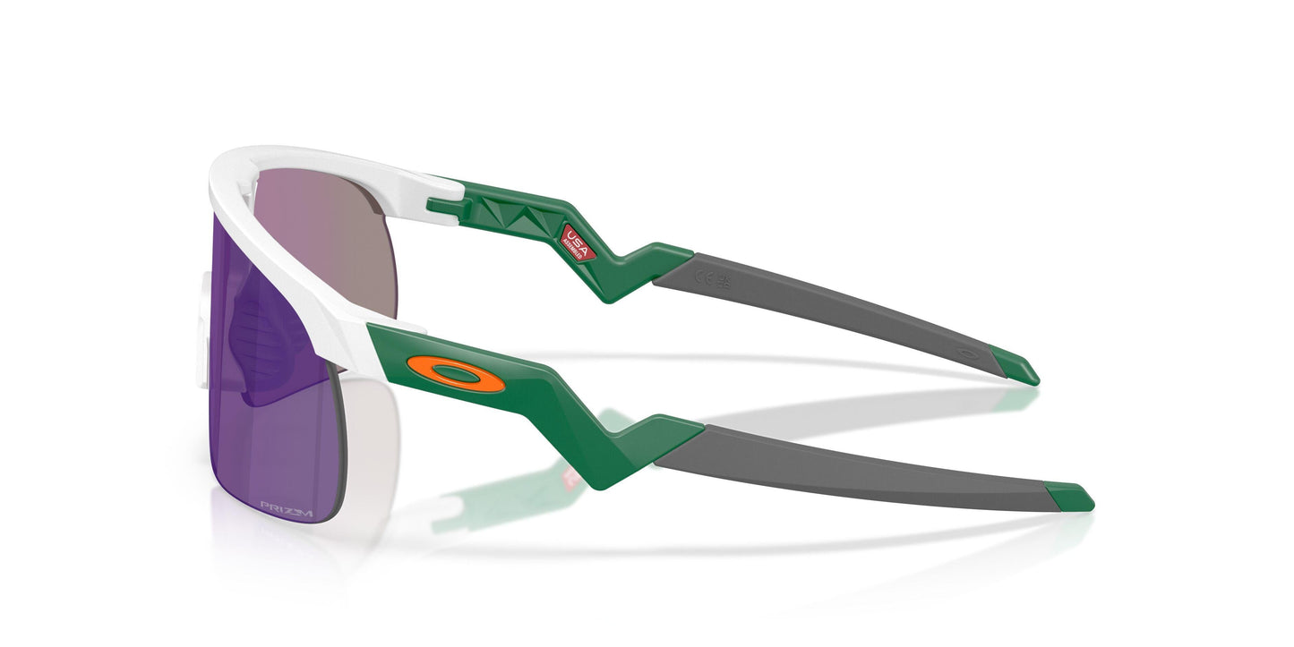 Oaakley Resistor 9010 Sunglasses