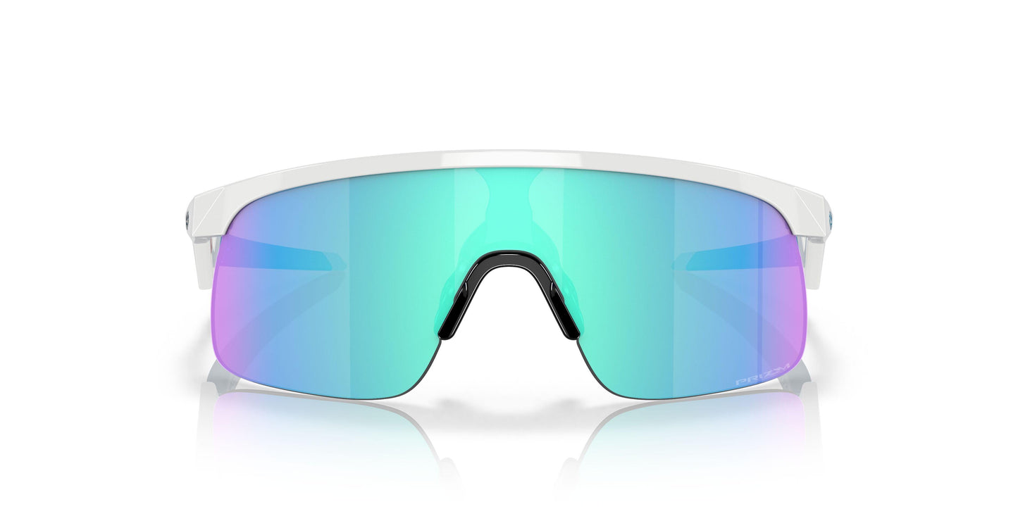Oaakley Resistor 9010 Sunglasses