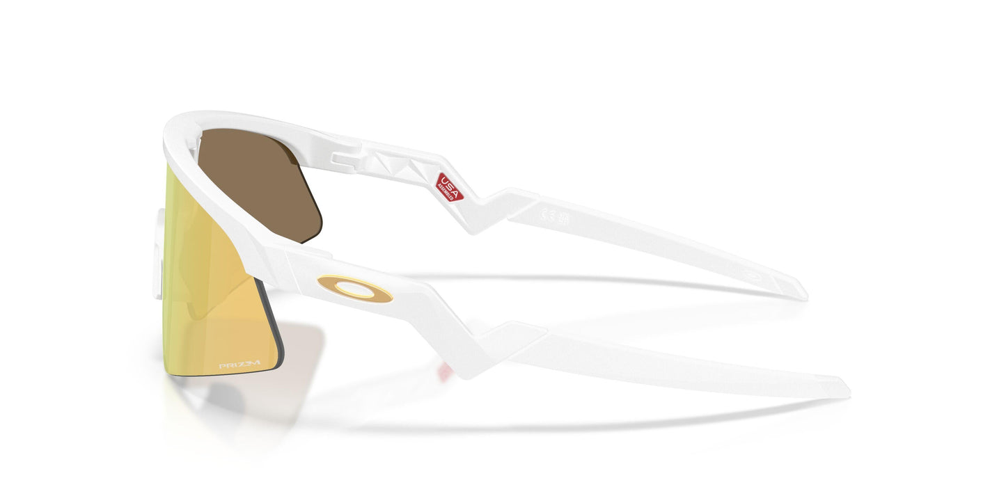 Oaakley Resistor Sweep 9015 Sunglasses